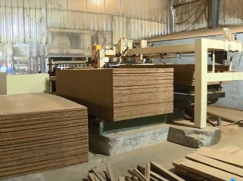 宿遷對泗洪木材加工和家具制造產業轉型升級工作開展督導